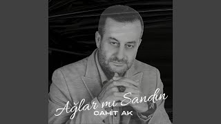 Ağlar Mı Sandın