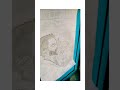 #viratkohli #viralvideo #cricketlover #viratkohlistatus #viratkohlifan #sports #viral #cricket