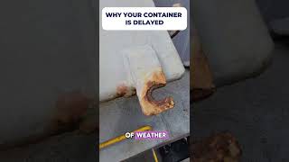WHY YOUR CONTAINER IS DELAYED #millsway  #freightforwarding  #customsclearing  #southafrica