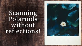 How to scan Polaroids: 4 scanning devices compared screenshot 1