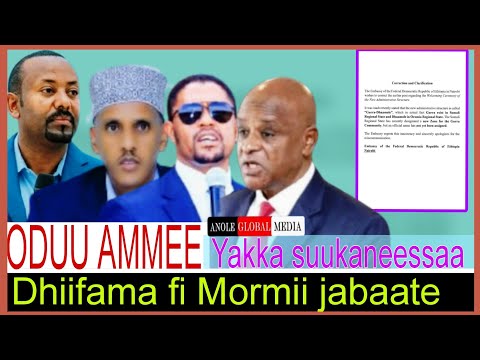 Dhiifama Fi Mormii Jabaate Yakka Suukaneessaa 8 20 2025 AGM