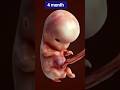 1 to 9 months baby look like | 1 to 9 months baby growth and size #newmum #babybelly #ytshorts