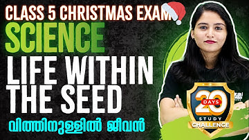 Class 5 Basic Science Christmas Exam | Life Within The Seed/വിത്തിനുള്ളിൽ ജീവൻ | Exam Winner