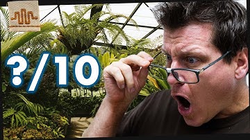 Rating YOUR Enclosures PART 2 (Super Dwarf Retics)