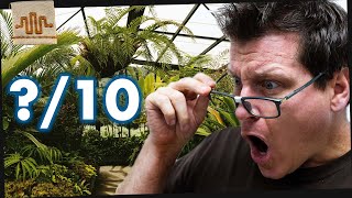 Celebrity Rating YOUR Enclosures PART 2 (Super Dwarf Retics) Wealth