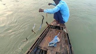 चलते पानी में से हुक लंगढः द्वारा बाम फिश पकड़ने का तरीका | Best Baam Fish Hunting