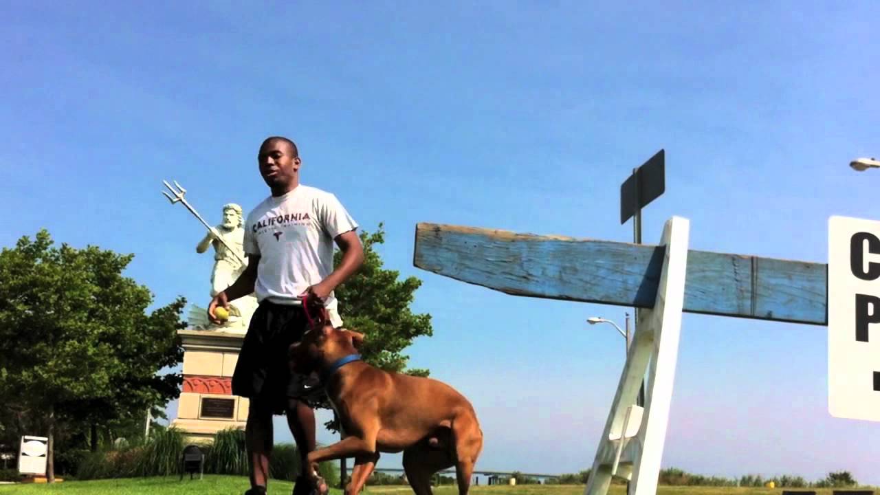 Goliath, Police Barrier (part 2)