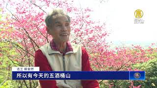 現代愚公！八旬志工花廿年 打造五酒桶山步道