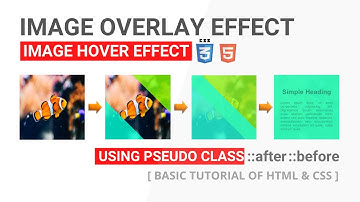 Image Overlay Effect | Image hover effect of having text without JavaScript using html and CSS