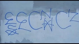 76 East Coast Crip Gang Related Homicide in Florence-Firestone