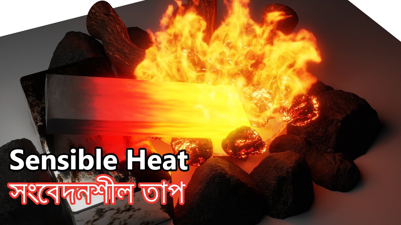 সংবেদনশীল তাপ | Sensible Heat | Animation by Shafaul Haque
