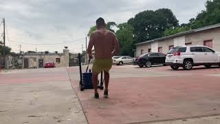 Sled Push and Backwards Drag