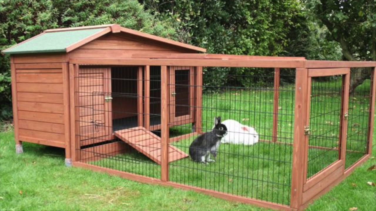 Вольер для кроликов на балконе своими руками