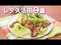 【シャキシャキ食感がたまらない！】レタス活用レシピ9選　デリッシュキッチン