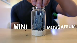 I Made A Mini Mossarium