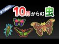 【あつ森】10月(南半球)から捕れる虫を全て紹介！出現時間や場所・条件など捕まえるコツについても徹底解説！タマムシやヨナグニサンなど秋の虫がたくさん登場！【あつまれどうぶつの森　10月虫図鑑】