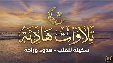 استمع إلى تلاوات هادئة بصوت ندي وأداء يلامس الأرواح. بصوت القارئ علاء ياسر