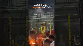 Mantralaya | rayaru | raghavendra swami | rayaridhare | youtube shorts