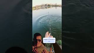 Мощная Поклевка #fishing ##рыбалка #fish