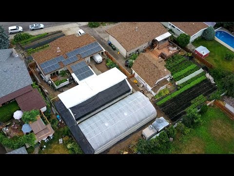 فيديو: مزرعة حضرية