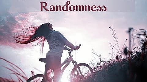 Learn to Embrace the Randomness 🦋