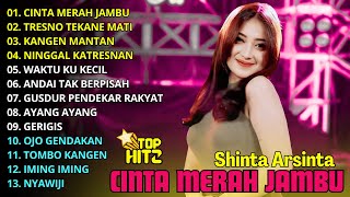 CINTA MERAH JAMBU - SHINTA ARSINTA -  DANGDUT KOPLO FULL ALBUM TERPOPULER TERBARU 2025