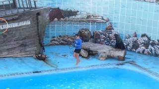 CUBA -ACUARIO NACIONAL - SHOW