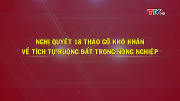 Đưa Nghị quyết vào cuộc sống: Nghị quyết 18 tháo gỡ khó khăn về tích tụ ruộng đất trong nông nghiệp