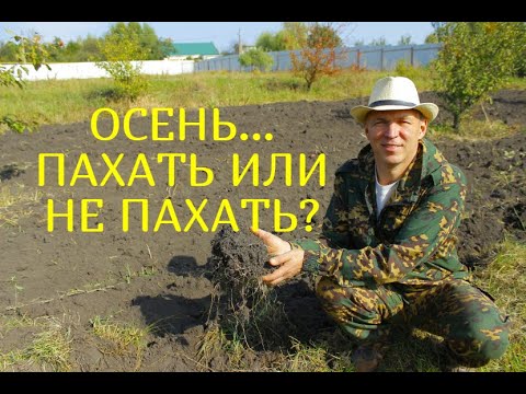 ПОЧЕМУ Я ПАШУ ОГОРОД ОСЕНЬЮ//МОЯ ЛЮБИМАЯ УСАДЬБА