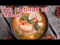 Рецепты из гольца - как приготовить гольца пошаговый рецепт - Уха рыбная из гольца за 50 минут