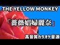 【歌詞付き・高音質カラオケ音源】『薔薇娼婦麗奈』THE YELLOW MONKEY【原曲キー】