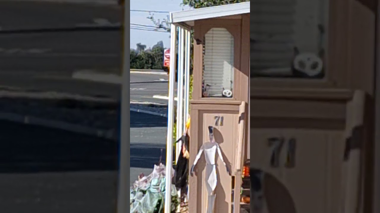 Short Truckspoting Video