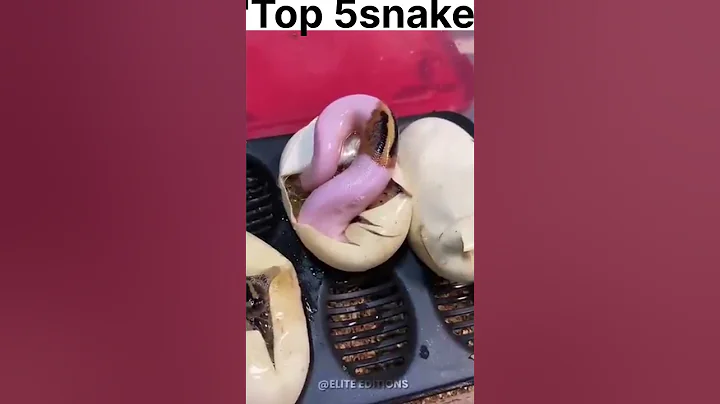 "unbelievable snake 😂🐍#snake #youtubeshorts #tiktok