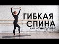 Упражнения для спины и плеч. Выпуск для новичков.