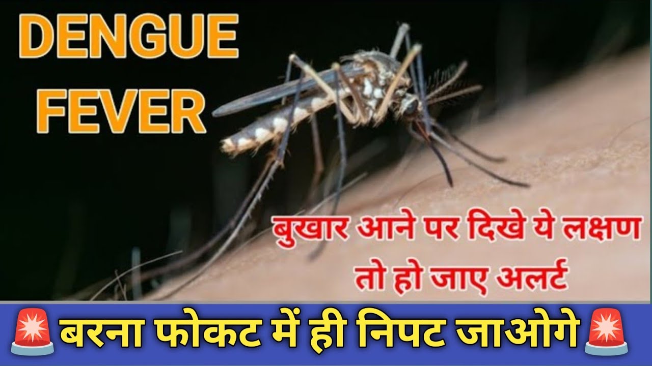Dengue Fever Symptoms | डेंगू के लक्षण 