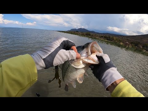 Video: Consejos De Pesca De Verano