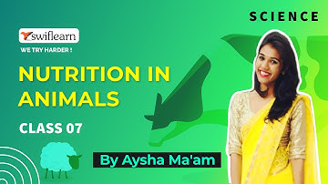 Nutrition in Animals | Class 7 | Science Online Classes | Swiflearn - Session 1