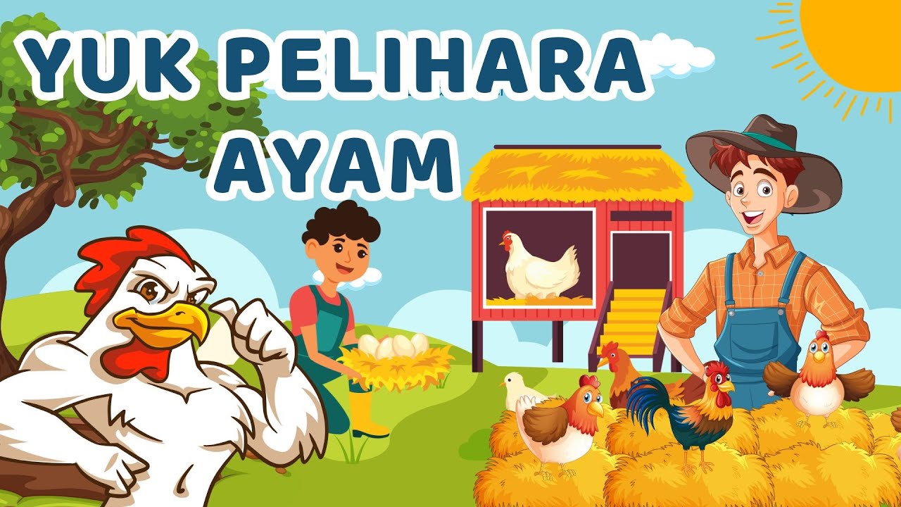 Asyiknya Punya Ayam Sendiri! Yuk Pelihara Ayam di Rumah