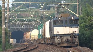 EF64-1018牽引の鹿島貨物（1095レ） 寺崎トンネル通過