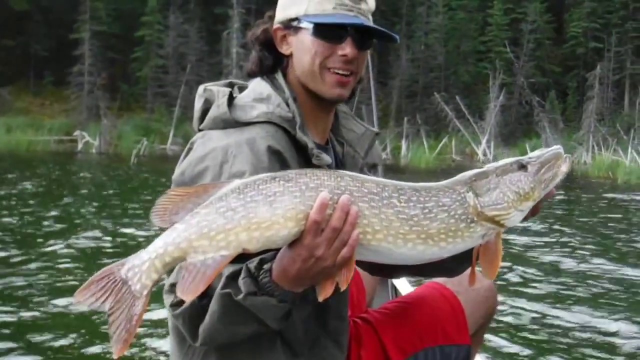 Pike Fishing Kids Canada part 2 Yukon Territory Snafu Lake Little Fox Lake