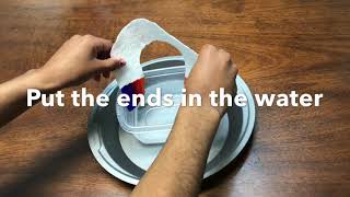 How To Grow A Rainbow. Easy Science Activity For Kids