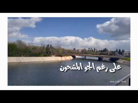 الأمل دائماً موجود