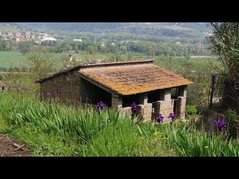 Video: Si Të Riktheni Interesin Për Punën