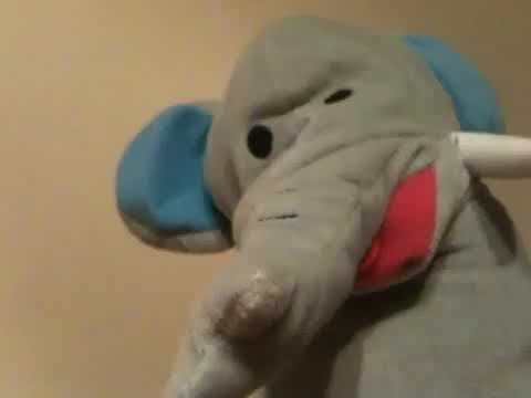 Baby Einstein. Elephant - YouTube