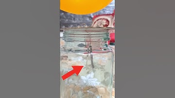 A Simple Electroscope #physics #science #shorts #short #experiment #scienceexperiment #youtubeshorts