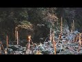 Autumn Hike (Akame 48 Waterfalls)