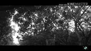 Ang Nuno Sa Punso Trailer In Filipino