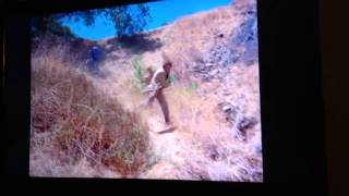 Columbo Takes a Tumble!
