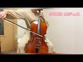 suzuki 1/2 チェロ　試奏動画