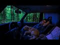 Heavy Rain & Thunder on Car Roof 🌧️ Relaxing ASMR for Sleep and Stress Relief 😌